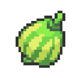 Aguav Berry