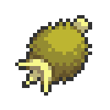 Maranga Berry