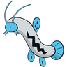Barboach