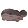 Clodsire