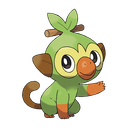 Grookey