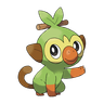 Grookey