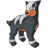 Houndour