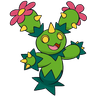 Maractus