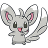 Minccino