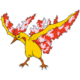  Pokemon Moltres