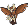 Noctowl