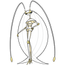 Pheromosa