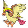 Pidgeot