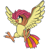 Pidgeotto