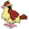 Pidgey