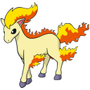Ponyta