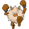 Primeape