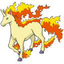 Rapidash