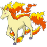 Rapidash