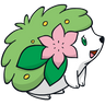 Shaymin