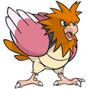 Spearow