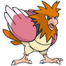 Spearow