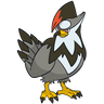 Staraptor