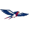Swellow