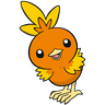 Torchic